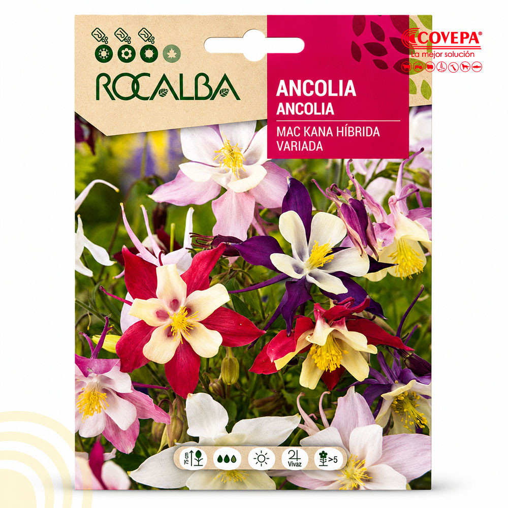 Semilla Flor Ancolia Mac Kana Híbrida Variada