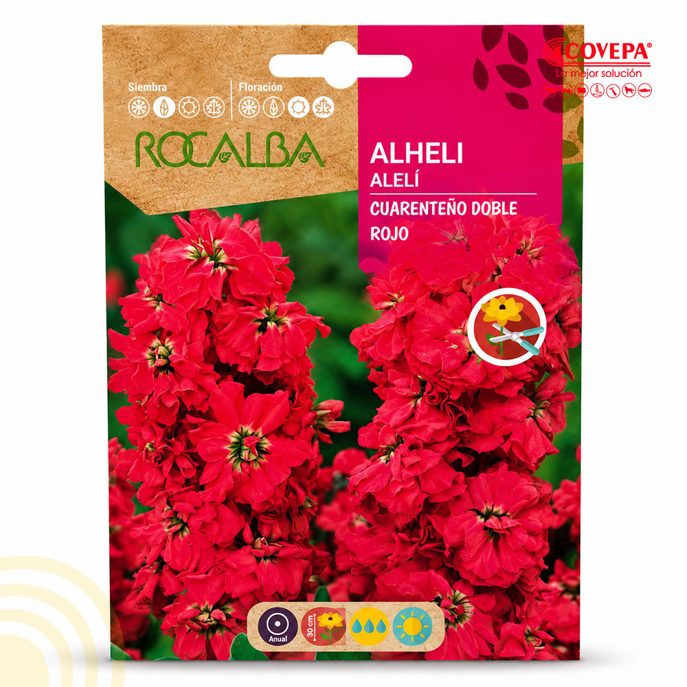 Semilla Flor Alhelí Cuarenteno Anual Doble Rojo