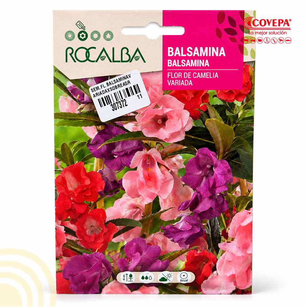 Semilla Flor Balsamina Flor de Camelia Variada