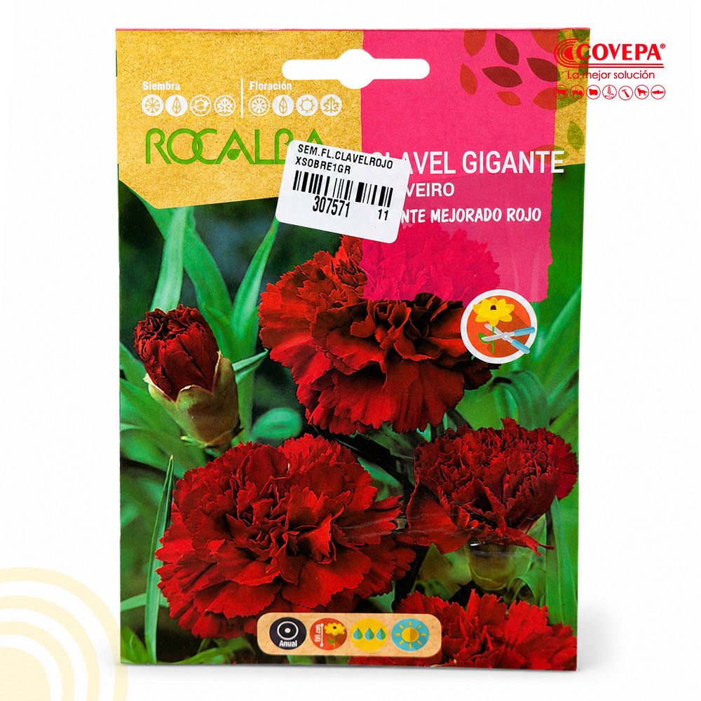 Semilla Flor Clavel Gigante Mejorado Rojo