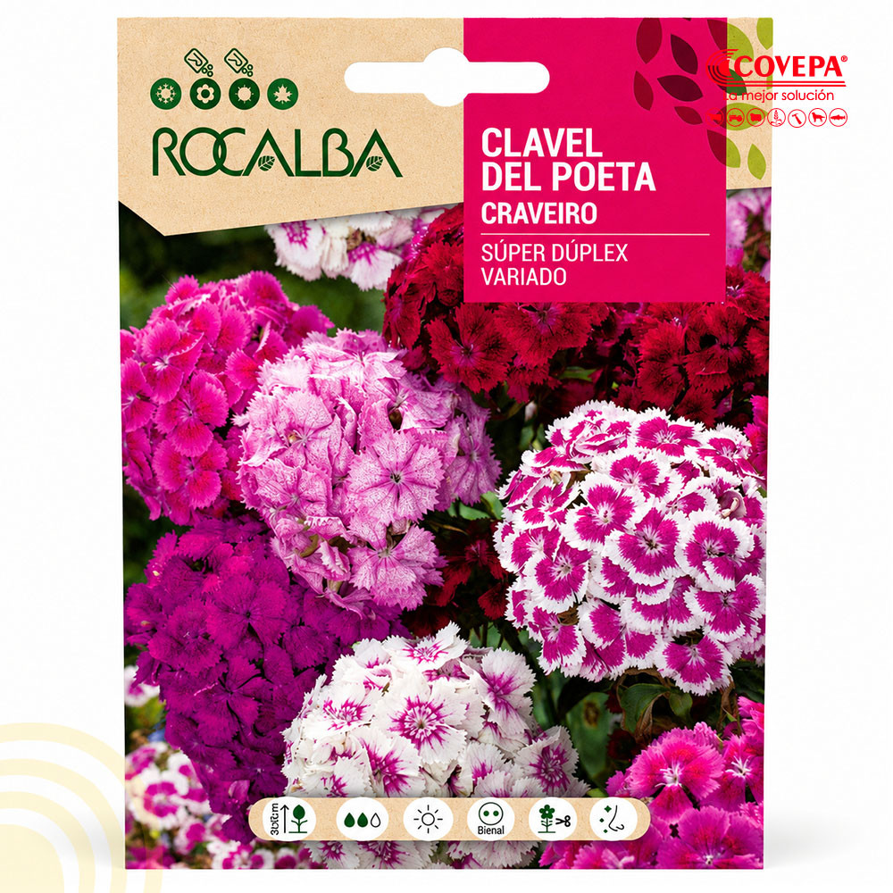 Semilla Flor Clavel del Poeta Súper Dúplex Variado