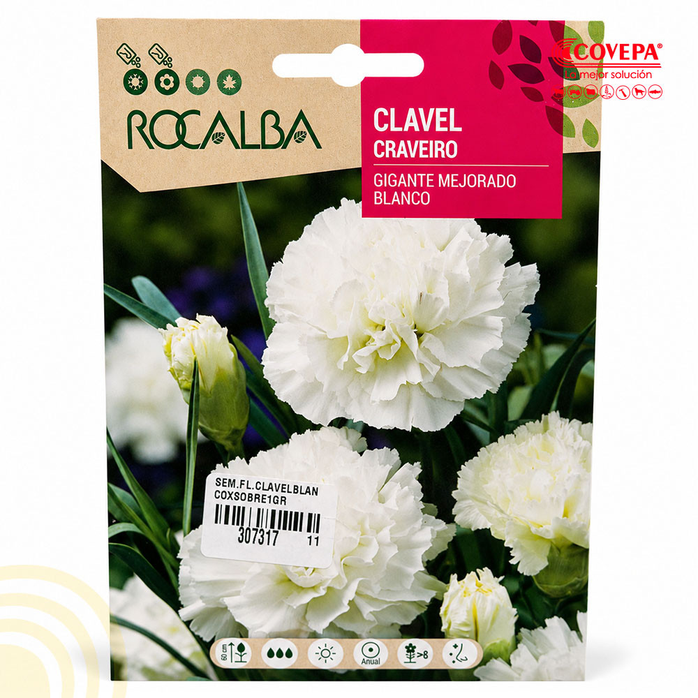 Semilla Flor Clavel Gigante Mejorado Blanco