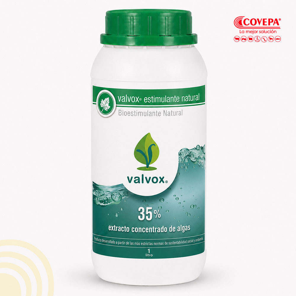 Bioestimulante Valvox Enraizante 1lt