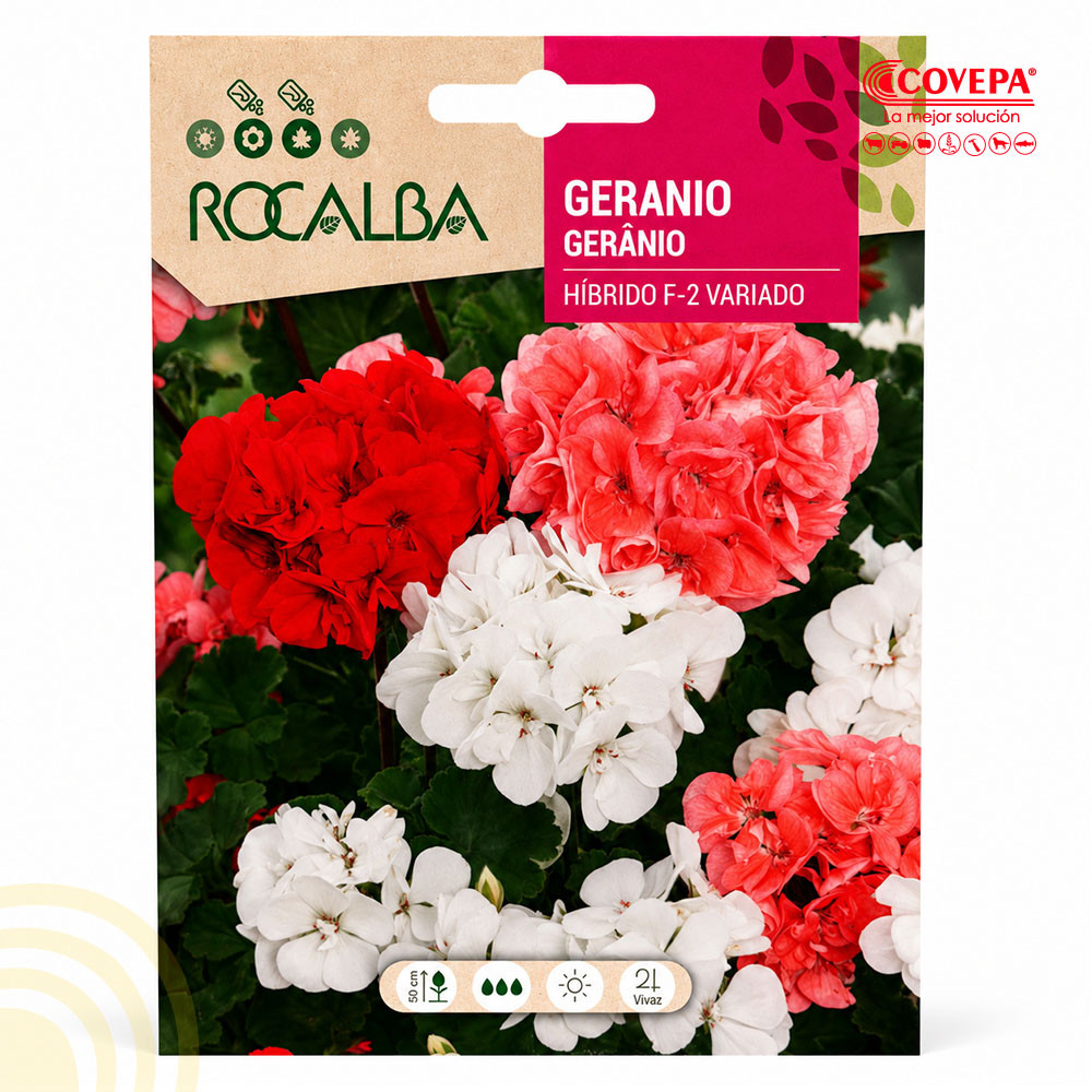 Semilla Flor Geranio Híbrido F-2 Variado