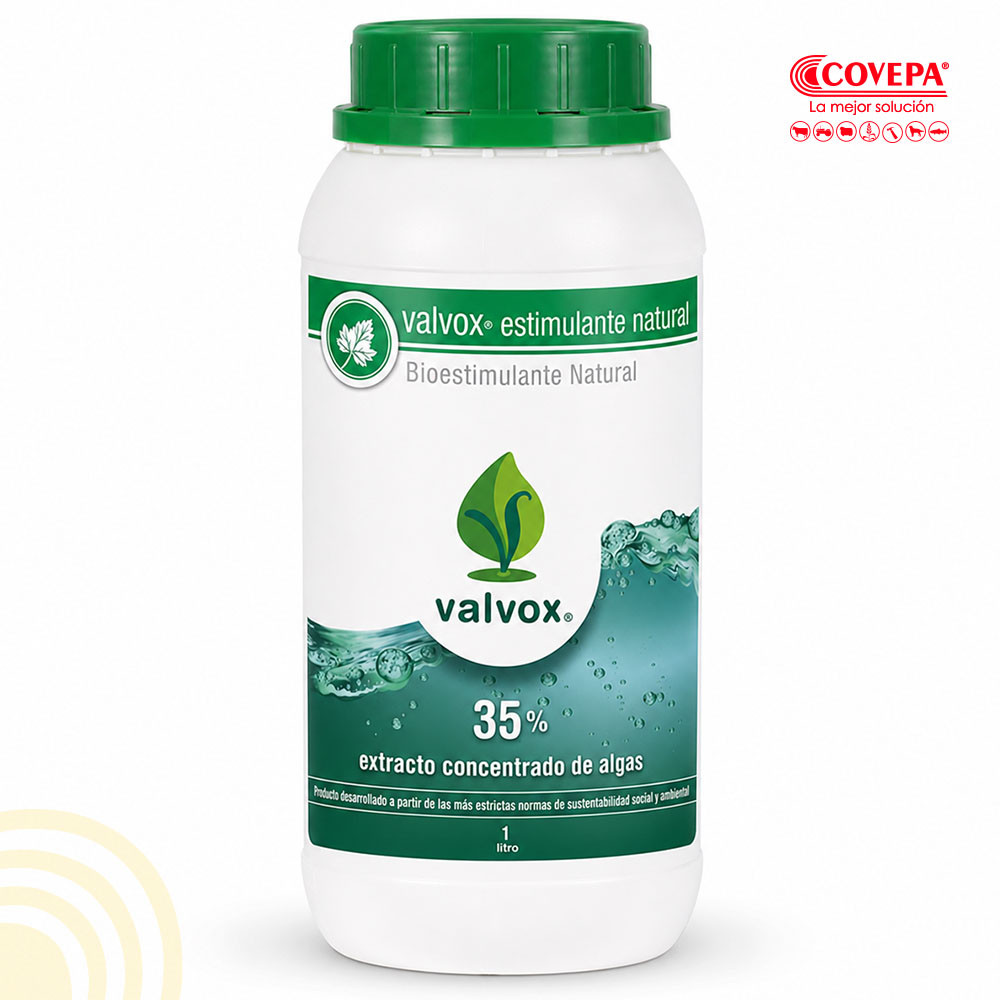 Bioestimulante Valvox Foliar 1lt