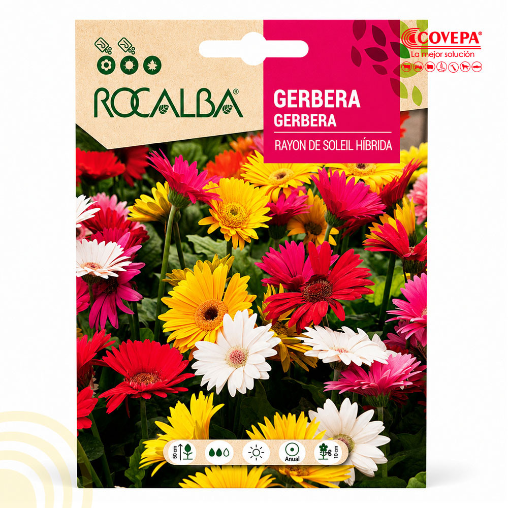 Semilla Flor Gerbera Rayito de Sol Variado