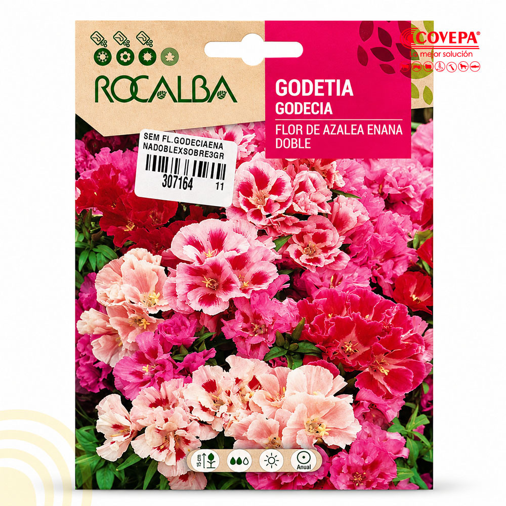 Semilla Flor Godetia Flor de Azalea Enana Doble