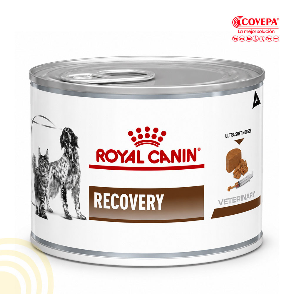 Snack Perro / Gato Royal Canin Recovery 145g