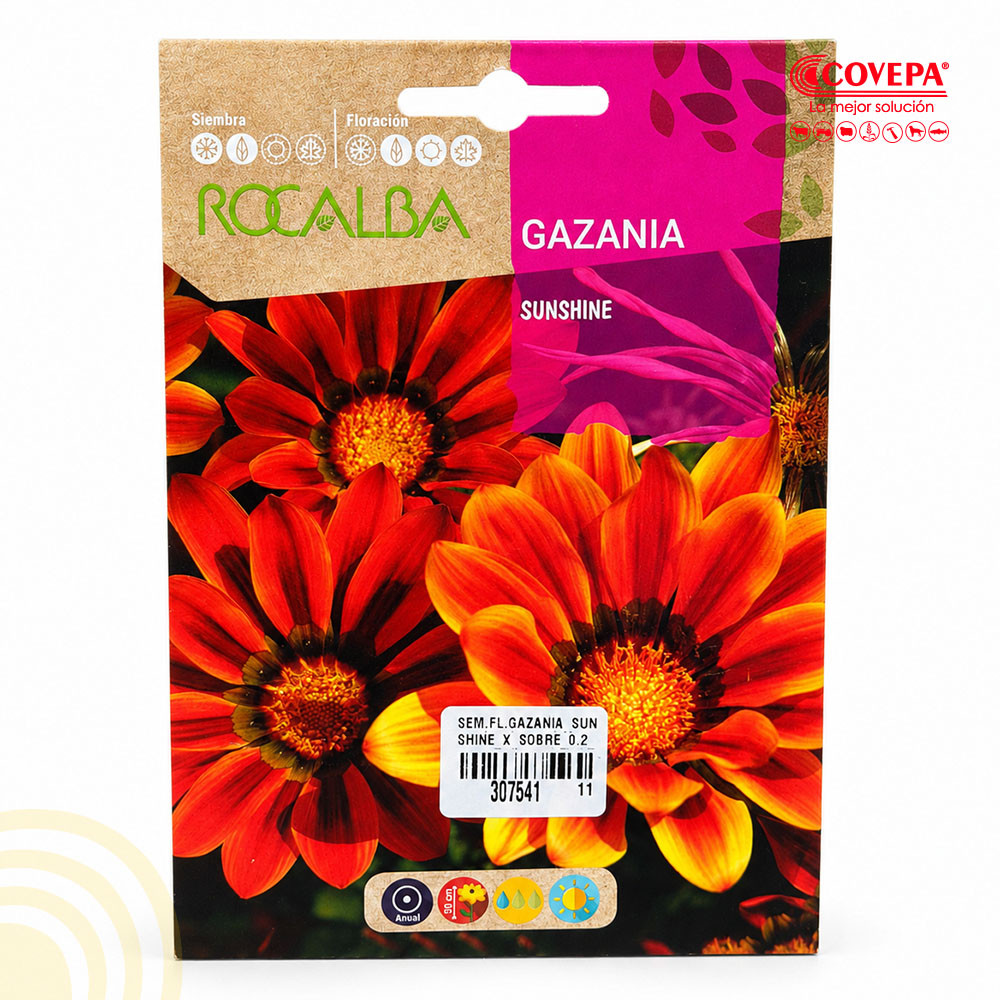 Semilla Flor Gazania Sunshine Mezcla Floristas