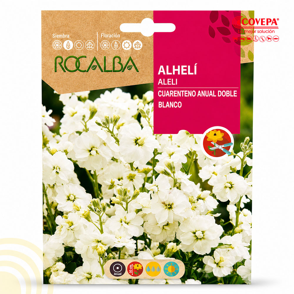 Semilla Flor Alhelí Cuarenteno Anual Doble Blanco
