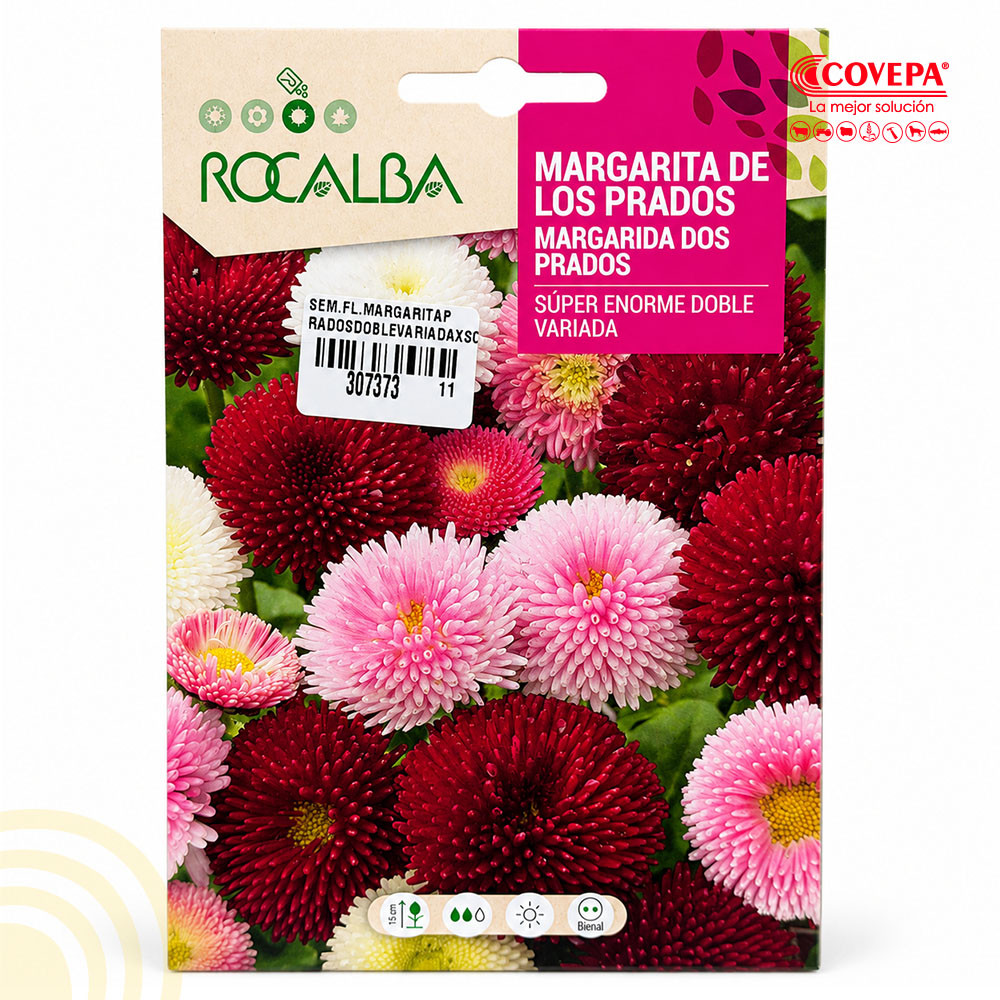 Semilla Flor Margarita de los Prados Súper Enorme Doble Variada