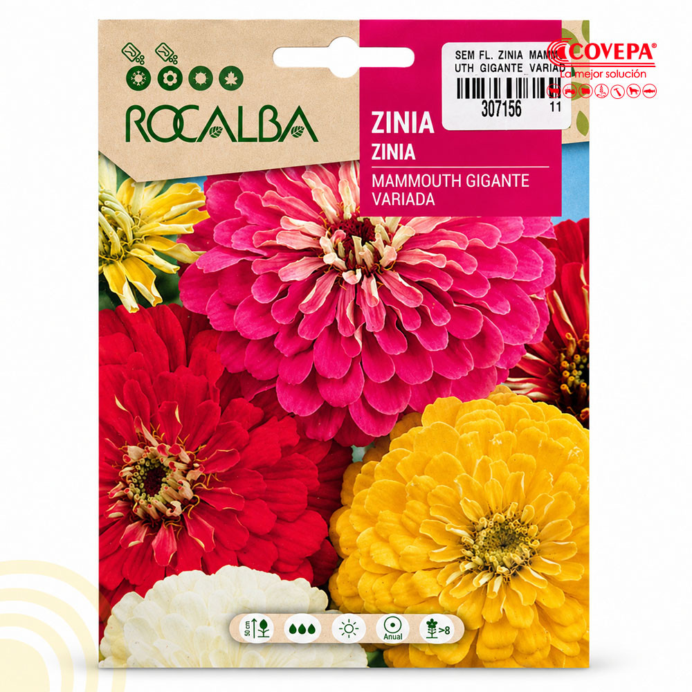 Semilla Flor Zinnia Mammouth Gigante Variada