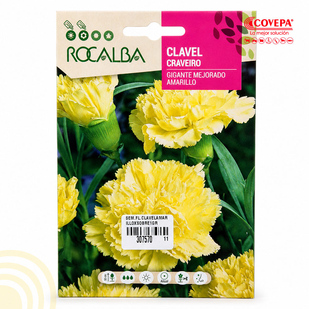 Semilla Flor Clavel Gigante Mejorado Amarillo