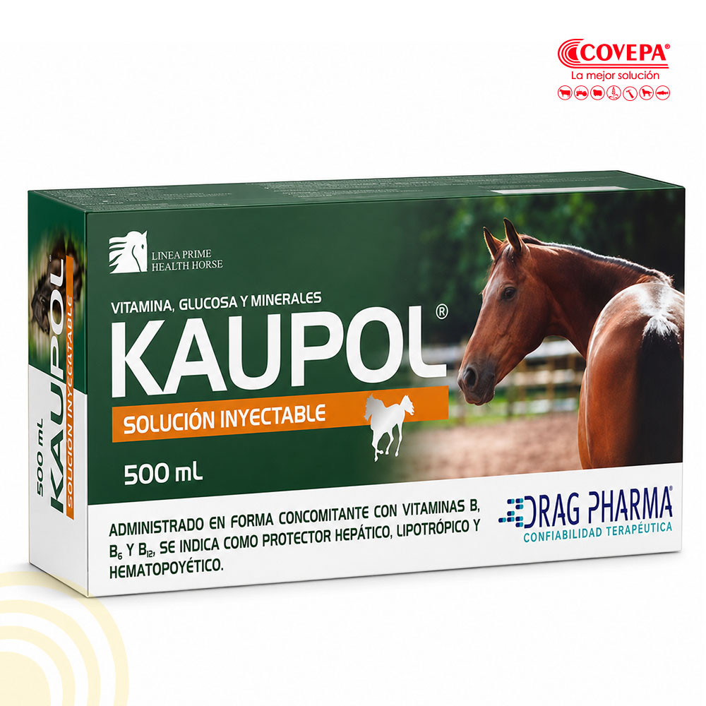 Kaupol Equino Solución Inyectable 500 ml