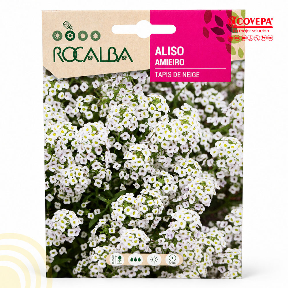 Semilla Flor Aliso Tapis de Neige