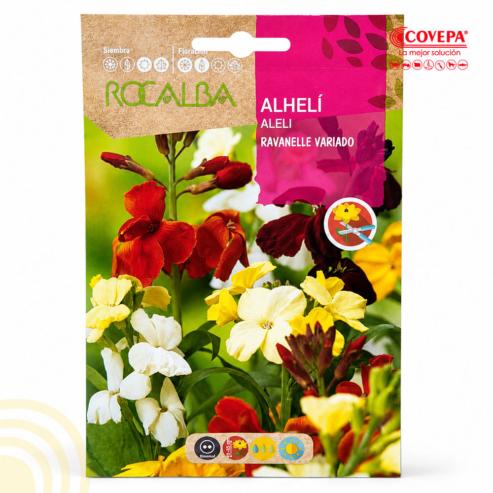 Semilla Flor Alhelí Ravanelle Variado