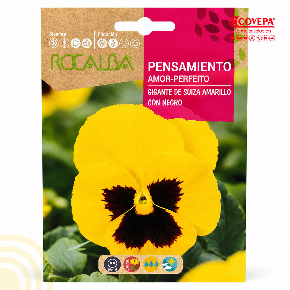 Semilla Flor Pensamiento Gigante de Suiza Amarillo con Negro