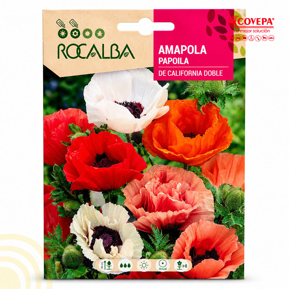 Semilla Flor Amapola de California Doble Variada