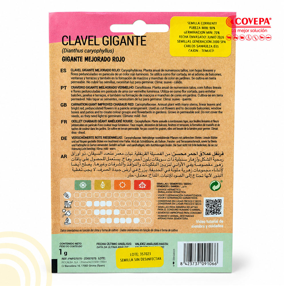 Semilla Flor Clavel Gigante Mejorado Rojo