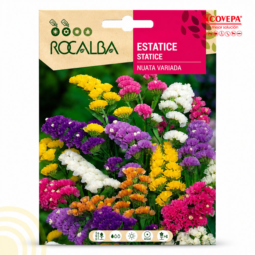 Semilla Flor Estática Sinuata Variada