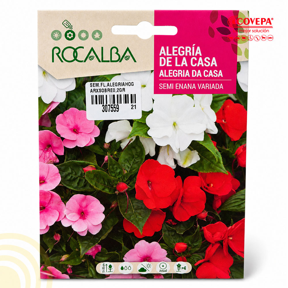 Semilla Flor Alegría de la Casa Semi-Enana Variada