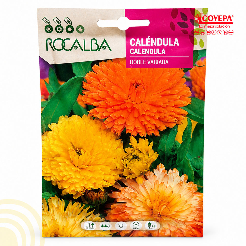 Semilla Flor Caléndula Doble Variada