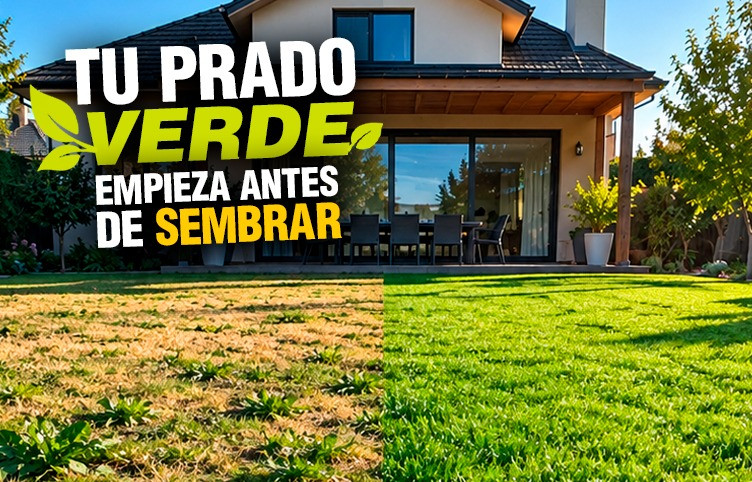 Octubre Jardin